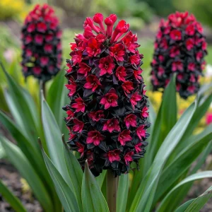 Гиацинт Джем Стоун купить по цене от 2099р. в интернет-магазине «Посадика» с доставкой почтой в в Кувандыке и по всей России – [изображение №1].