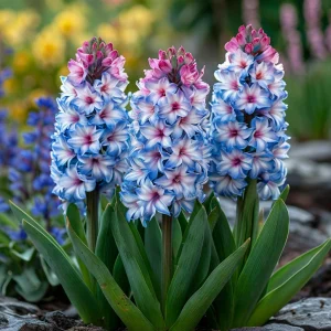 Гиацинт Пинк Мари купить по цене от 2099р. в интернет-магазине «Посадика» с доставкой почтой в в Кувандыке и по всей России – [изображение №1].