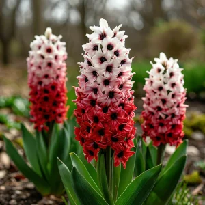 Гиацинт Скай Гарден купить по цене от 2099р. в интернет-магазине «Посадика» с доставкой почтой в в Кувандыке и по всей России – [изображение №1].